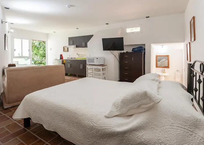 5b, Cultura, Garden House, Welcome To San Angel Apartamento