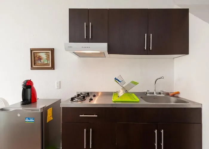 Apartamento 5b, Cultura, Garden House, Welcome To San Angel