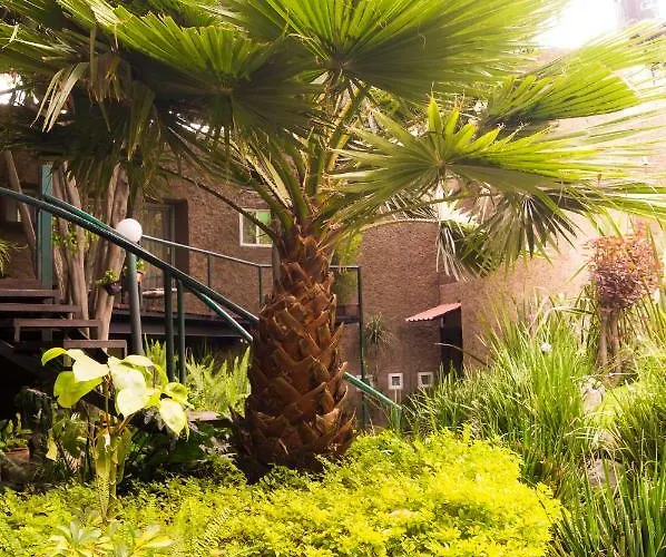 Apartamento 5b, Cultura, Garden House, Welcome To San Angel *
